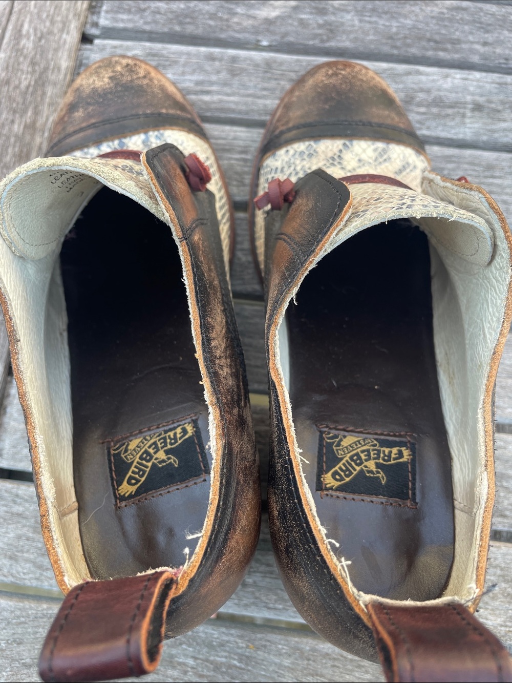 Freebird by Steven Sz 8 Catalina Brown & Cream Snake-Print Leather Heeled Oxford - Picture 11 of 15